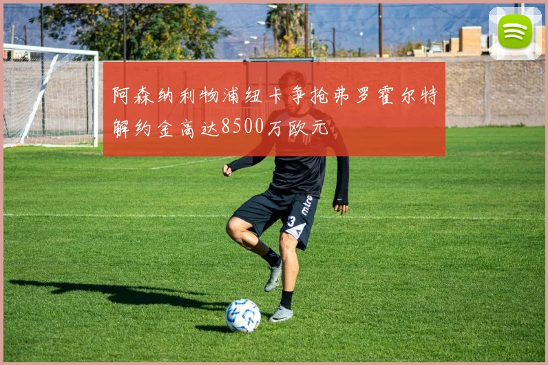 阿森纳利物浦纽卡争抢弗罗霍尔特解约金高达8500万欧元