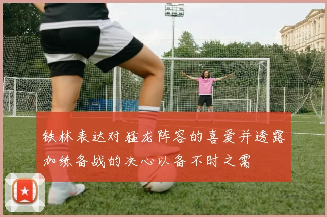 铁林表达对猛龙阵容的喜爱并透露加练备战的决心以备不时之需